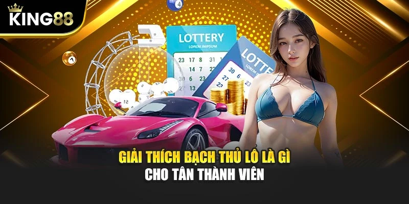 Giải thích bạch thủ lô là gì cho tân thành viên