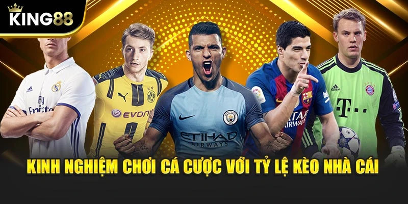 Kinh nghiệm chơi cá cược với tỷ lệ kèo nhà cái